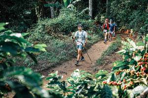 BIB: 
                            <button type="button" onclick="openModal(25850137)" class="btn btn-primary btn-sm float-right btn-popup" data-toggle="modal" data-target=".modal-high-quality">
                        <i class="fas fa-shopping-cart"></i> Add to Cart
                    </button>
                                            <button type="button" onclick="isThisMe(25850137, true)" class="btn btn-success btn-sm float-right btn-popup btn-isme hidden" data-toggle="tooltip" data-placement="bottom" title="นี่คือรูปของคุณใช่ไหม คลิกที่นี่เพื่อเอาเข้าอัลบั้ม">
                        <i class="fas fa-plus"></i> Add to album
                    </button>
                    <button type="button" onclick="isThisMe(25850137, false)" class="btn btn-warning btn-sm float-right btn-popup btn-isnotme hidden">
                        <i class="fas fa-ban"></i> Remove from album
                    </button>